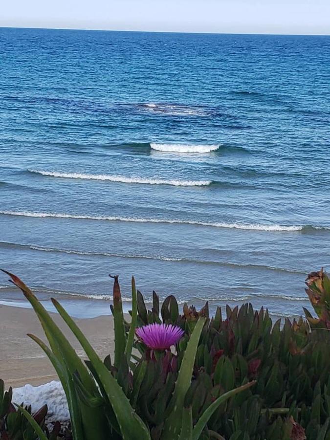 אליקאנטה Playa Flamenca Splendid Apartment On The Beach מראה חיצוני תמונה